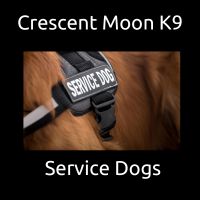 Crescent Moon K9 Service Dog